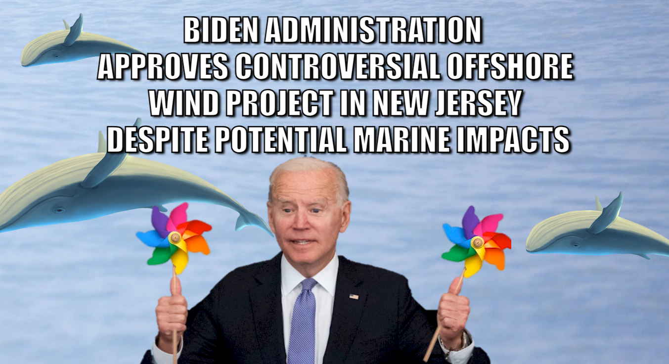 image of Joe Biden