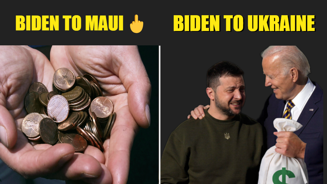 image of Bidens response to Maui