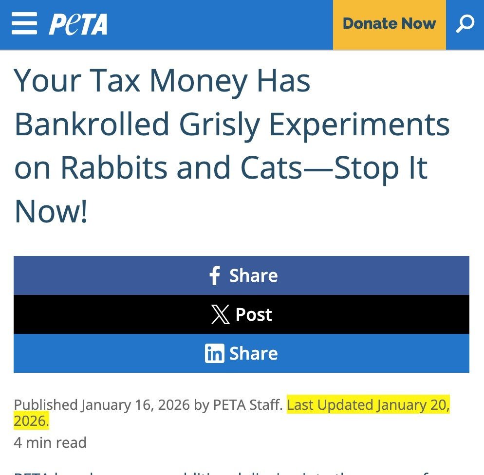 PETA article urging action against taxpayer-funded experiments on rabbits and cats, highlighting the need for animal rights advocacy and ethical treatment.