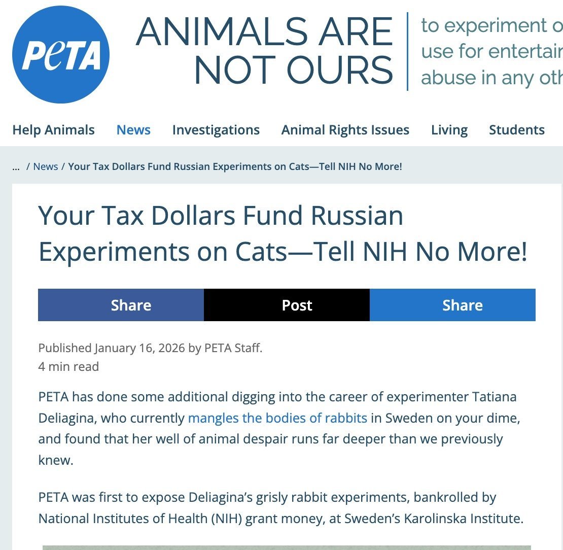 PETA article exposing funding of Russian experiments on cats by the NIH, highlighting ethical concerns and animal welfare issues.