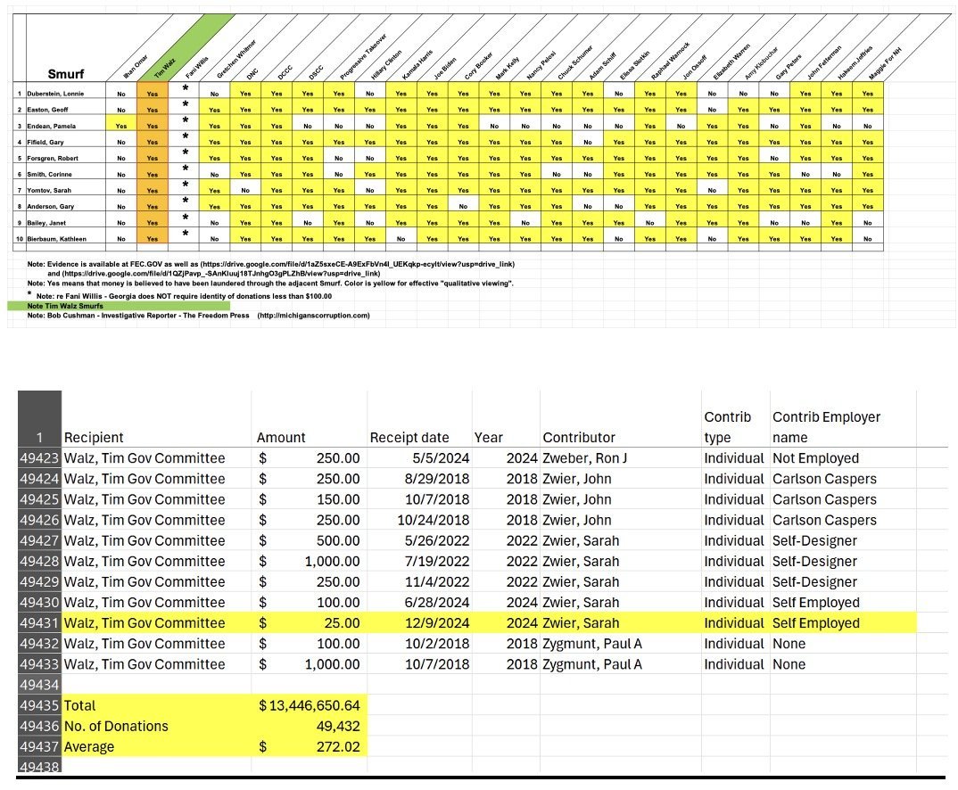 Spreadsheet displaying donation data for Tim Walz's gubernatorial committee, including contributor names, amounts, and employment status, highlighted for clarity.