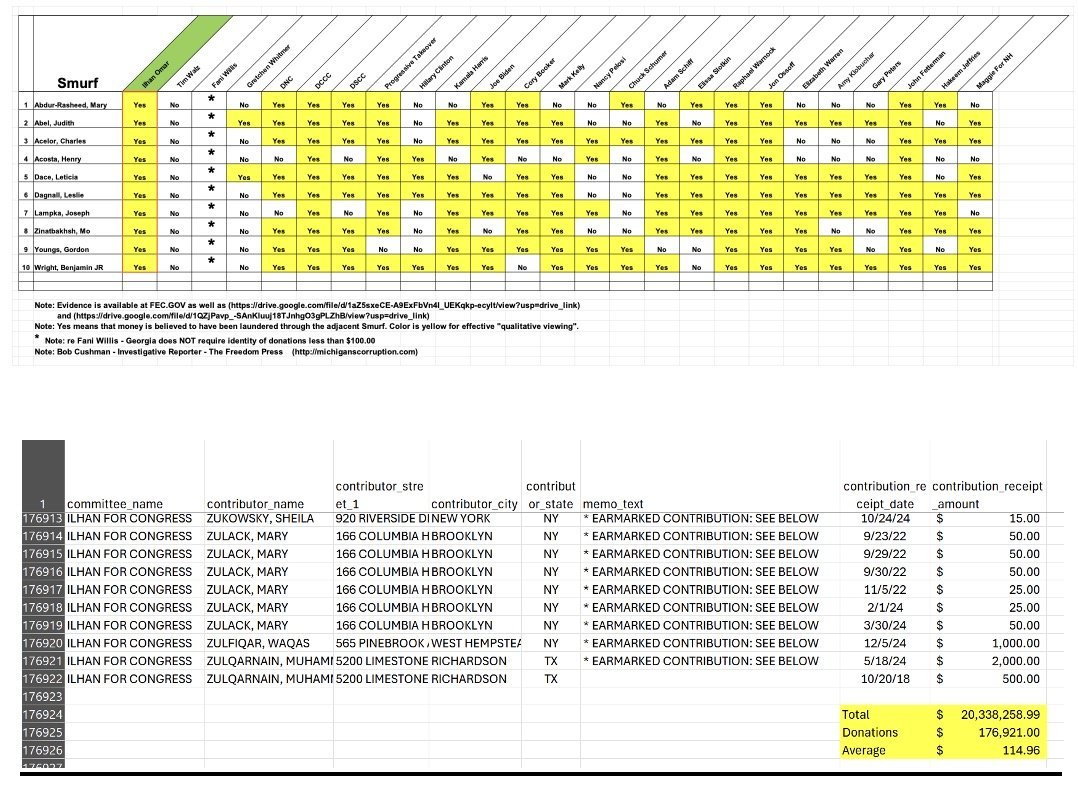 Spreadsheet displaying political contributions for the Ilhan for Congress campaign, including contributor details, amounts, and earmarked contributions.