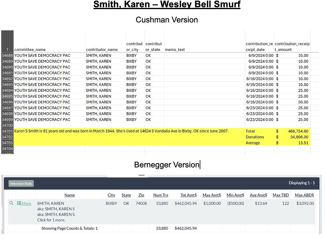 Spreadsheet detailing contributions by Karen Smith to the Youth Save Democracy PAC, including personal information, donation totals, and averages.