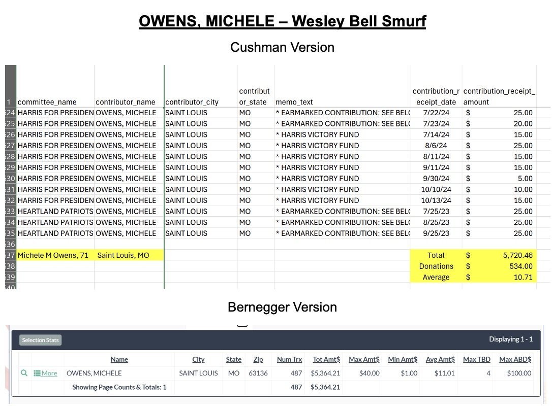 Spreadsheet displaying financial contributions for Michele Owens from Saint Louis, MO, including total donations and details of contributions to various funds.