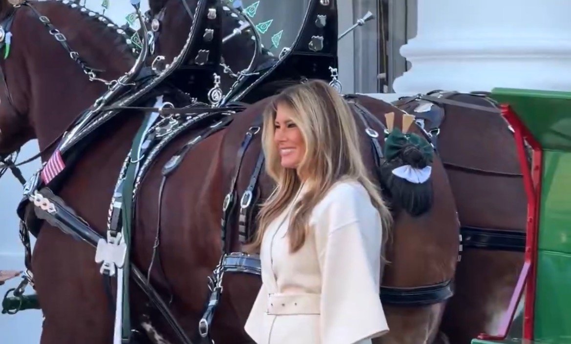 A smiling woman stands beside a beautifully adorned horse, showcasing festive decorations and a carriage in a vibrant outdoor setting.