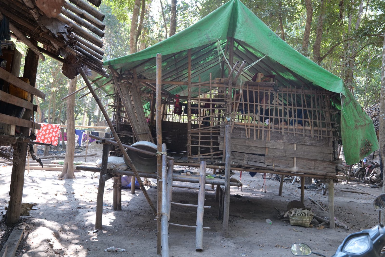 Bamboo house with a green tarp roof situated in a forested area, showcasing traditional architecture and rural living.